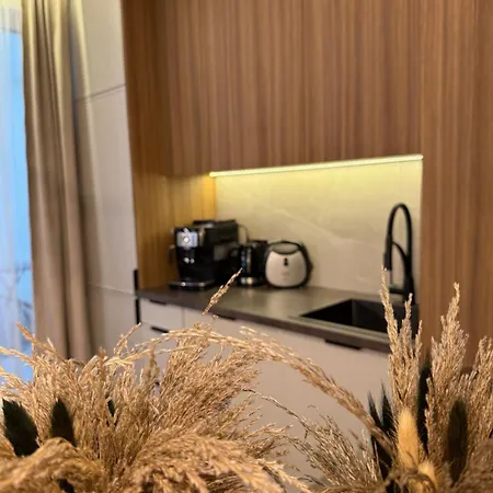 Family & Business Sauna Baltic Horizon No 3 Premium - 3 Bedroom With Private Sauna, Jacuzzi, Rooftop Gym & Panoramic Terrace, Balcony, Underground Garage Apartment Danzig