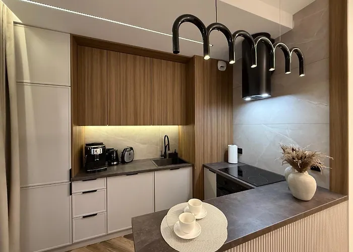 Family & Business Sauna Baltic Horizon No 3 Premium - 3 Bedroom With Private Sauna, Jacuzzi, Rooftop Gym & Panoramic Terrace, Balcony, Underground Garage * グダニスク