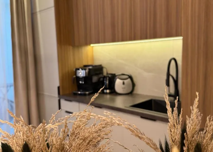 Family & Business Sauna Baltic Horizon No 3 Premium - 3 Bedroom With Private Sauna, Jacuzzi, Rooftop Gym & Panoramic Terrace, Balcony, Underground Garage アパート グダニスク