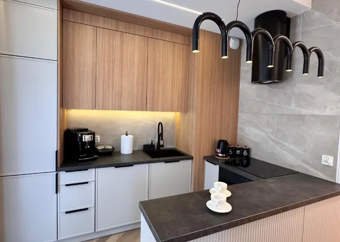 Family & Business Sauna Baltic Horizon No 3 Premium - 3 Bedroom With Private Sauna, Jacuzzi, Rooftop Gym & Panoramic Terrace, Balcony, Underground Garage * グダニスク